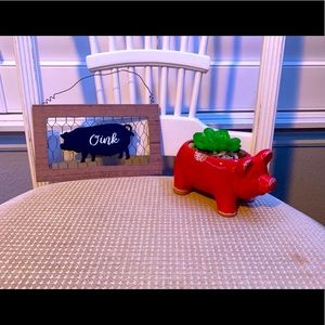 Pig Succulent & Sign